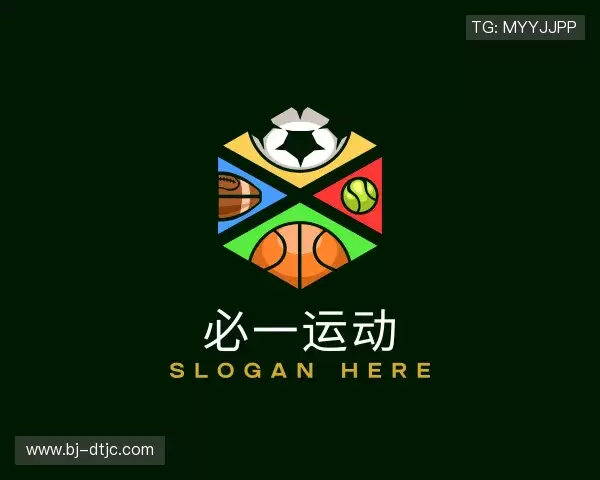 介绍必一运动官网